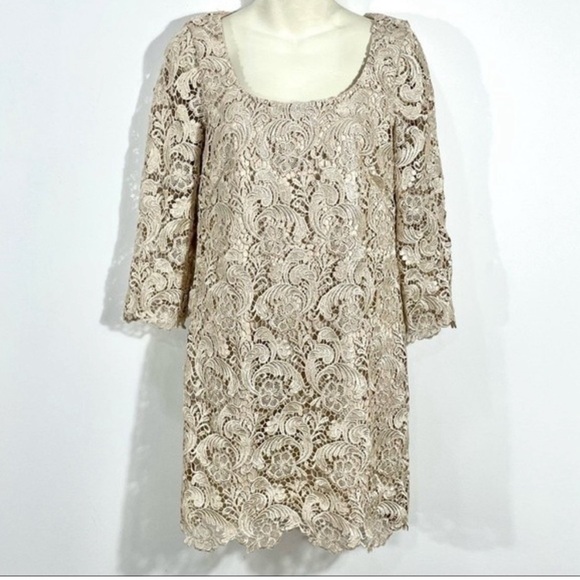 WHBM Champagne Lace 3/4 Sleeve Mini Dress - Picture 2 of 3